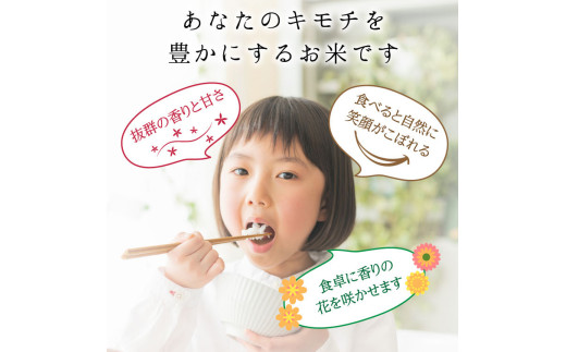 令和8年度　新米 【9回定期】特別栽培米 コシヒカリ ヒロシノキモチ 精米 10kg 総計90kg ブランド米 銘柄米 国産 米 お米 日本米 ギフト 贈り物 備蓄 防災 食品 陽咲玲 はるざれ F6