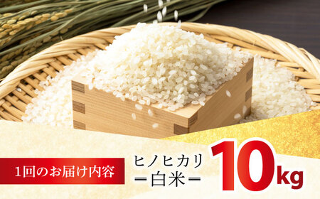 【全3回定期便】 ヒノヒカリ 白米 10kg 【有限会社江北商会】[HDK002]