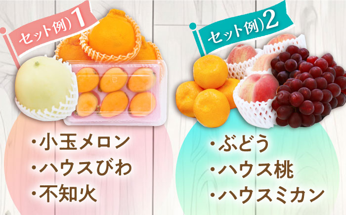 【6回定期便 隔月】フルーツ定期便 旬の果物 詰め合わせ 季節の果物をお任せで2?3品目お届け（2?3品目×6回）/ 果物 セット 甘い 南島原市 / 吉岡青果 [SCZ016]