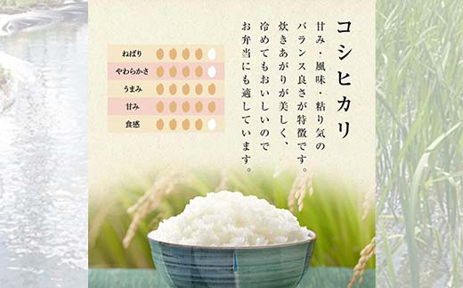【先行予約】お米の定期便 自然栽培米 太地米完熟 【こしひかり】 玄米3kg×3か月連続 ブランド米 お米 人気 F7X-0760