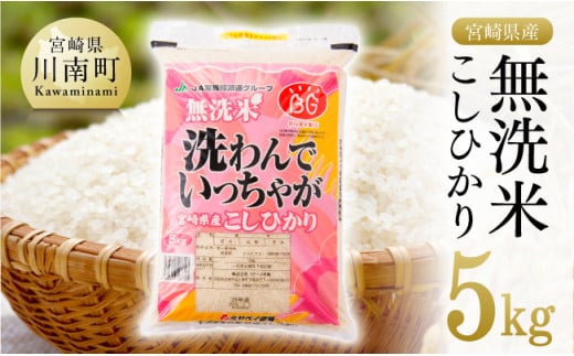 【 令和6年産 】宮崎県産 無洗米こしひかり5kg【 米 お米 白米 精米 国産 宮崎県産 コシヒカリ 】 [D01601]