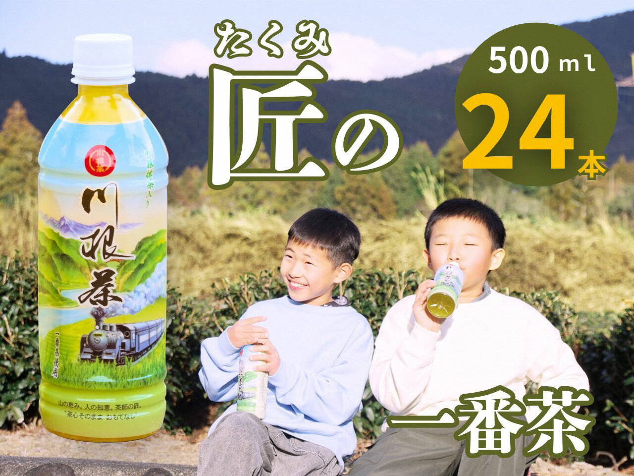 【ふるさと納税】匠厳選！高級一番茶「川根茶」ペットボトル　1ケース
