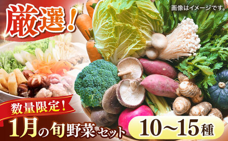 【数量限定】厳選！旬を味わう高槻野菜おまかせ詰め合わせセット 1月（10種～15種）　大阪府高槻市/高槻あぐり[AOCS007] [AOCS007]