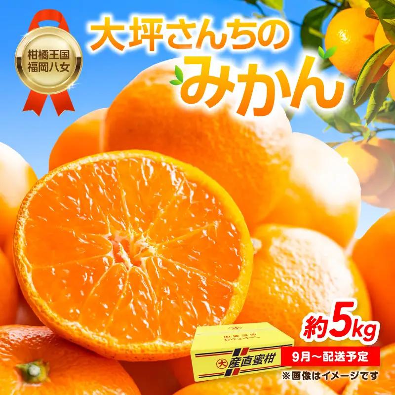 【9月下旬～2月下旬配送予定】【柑橘王国福岡・八女】農家直送！大坪さんちのみかん みかん 立花町 大坪農園 農産直売所 安心安全 肥料配合 福岡県 八女 171-001