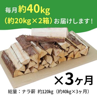 ふるさと納税 東白川村 定期便 全3回 なら薪 中〜大割 約40kg 計120kg 3ヶ月 焚火 楢 ナラ 薪 薪ストーブ |  | 01