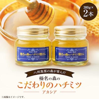 ふるさと納税 榛東村 榛名の森の こだわりのハチミツ!【アカシア】1本300g×2本セット!!