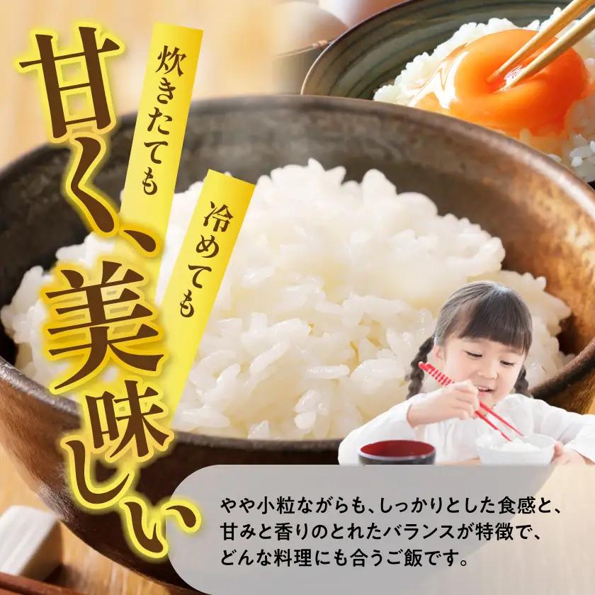 都城産ヒノヒカリ5kg×1袋〔17-01-002-5kg〕_(都城市) 白米 ひのひかり 弁当 おにぎり