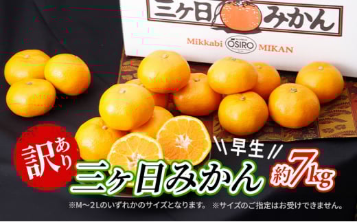 【2026年11月中旬より順次発送】 訳あり 三ヶ日みかん 早生 7kg 早生みかん みかん 蜜柑 ミカン 果物 くだもの 旬のフルーツ 旬の果物 季節のフルーツ 季節の果物 柑橘 柑橘類 訳アリ 静岡 静岡県 浜松市[№5786-5776]
