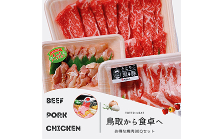 鳥取県産 焼肉セット 1kg(３?5人前) 牛肉 豚肉 鶏肉 焼き肉 バーベキュー BBQ ファミリーセット_T2600251