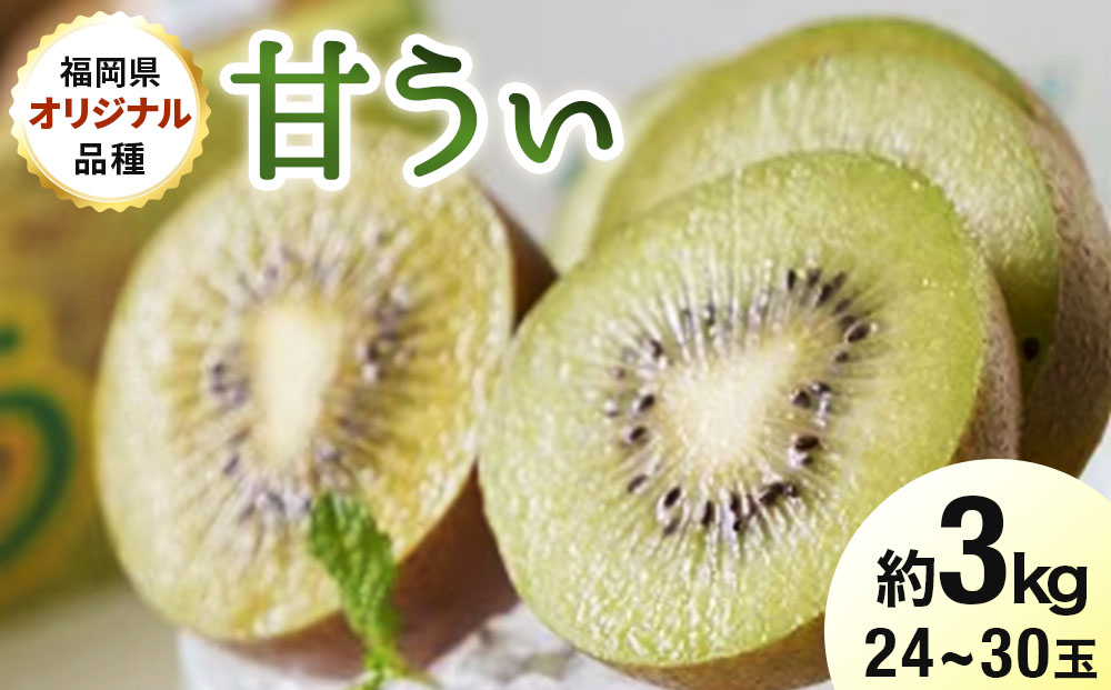 【先行予約】福岡限定!ブランドキウイ「甘うぃ(あまうぃ)」約3kg箱(24-30玉)(篠栗町)【NF006】