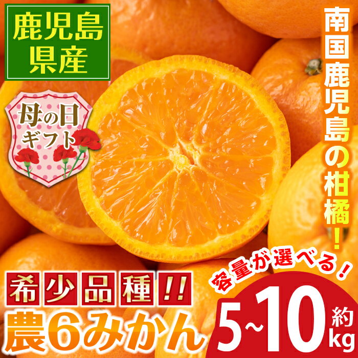 【ふるさと納税】【母の日ギフト】農6みかん(約5kg or 約10kg) 果物 フルーツ 果実 柑橘 国産 鹿児島県産 みかん ミカン 蜜柑 母の日 ギフト 【江崎果樹園】