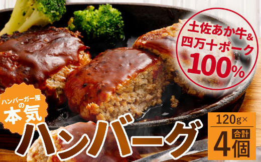 
ハンバーガー屋の本気ハンバーグ480ｇ（120ｇ×4個） ＜ 国産 高知県産 牛肉 豚肉 ブランド肉 希少 土佐あかうし 四万十ポーク ＞
