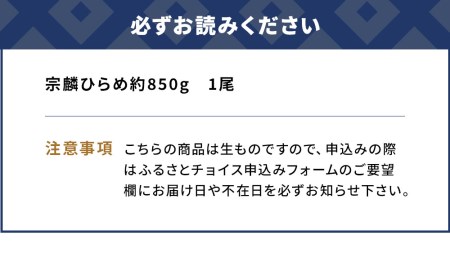 箱入り宗麟ひらめ 1尾 ヒラメ 平目 鮃 刺身 刺し身 生魚 新鮮 大分県産 九州産 津久見市 国産【tsu002601】