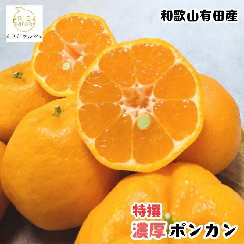 【極甘】 柑橘 特撰 濃厚 ポンカン 約5kg+200g(傷み補償分)【2027年1月上旬～3月上旬に順次発送】【AA-ard244】