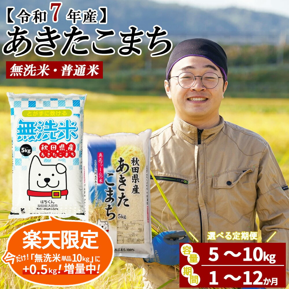 【ふるさと納税】今だけ！期間限定【令和7年産】【選べる容量・お届け回数】秋田県産「あきたこまち」無洗米or普通米 5〜10kg 1~12回 【2025年産 白米 精米 東北産 粘り 弾力性 節約 手間なし 国産 旨み 香り 栄養 のし対応可能 おにぎり お弁当 真正ファーム 送料無料】