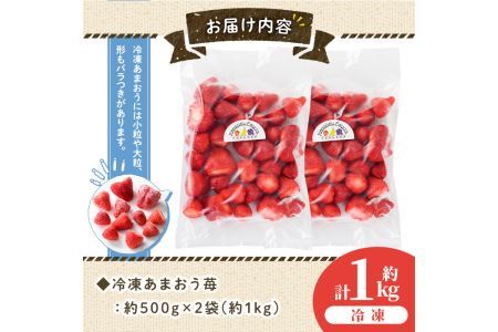 冷凍あまおう苺(約500g×2袋・計1kg)いちご イチゴ 冷凍 シャーベット 冷凍いちご ヨーグルト ジャム ＜離島配送不可＞【ksg0046】【南国フルーツ】