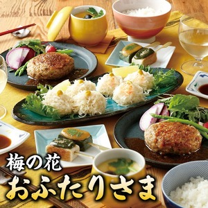 梅の花 おふたりさま_梅の花通販本舗 梅の花 2人分 惣菜 とうふしゅうまい かにしゅうまい 茶碗蒸し ミニ生麩 木の芽みそ 柚子みそ 豆腐 ハンバーグ 久留米ソース 冷凍 冷凍保存 おふたりさま 中華 和食 セット 自宅のストック お祝い ギフト 福岡 久留米市 お取り寄せ 送料無料 〔Cx227〕