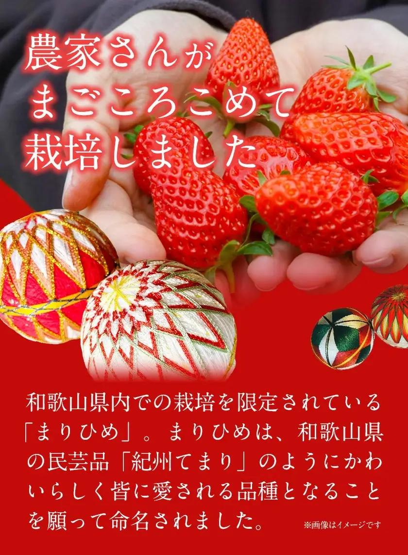 いちご まりひめ 約300g×2パック【配送不可地域あり】いちご