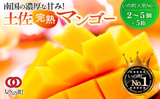 
かおる・とろける！土佐マンゴー(2～5個)×５箱
