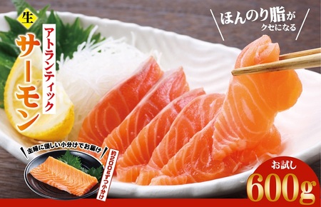 【お試し】アトランティックサーモン 600g【スピード発送】