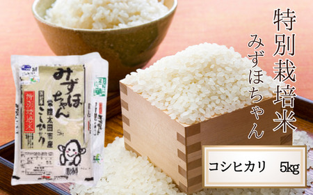 【米】R7 特別栽培米 みずほちゃん コシヒカリ 5kg