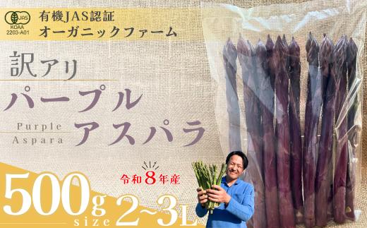【先行予約】【訳あり】オーガニック パープルアスパラガス   2L～3L 500g【オーガニックアスパラ 有機JAS認証 パープルアスパラガス 2L～3Lサイズ 新鮮野菜 産地直送 500g 春野菜 自然栽培 循環型農法  甘いアスパラガス 香り豊か 太陽の恵み 大地の恵み 野菜ギフト 旬の野菜 お取り寄せ野菜 訳あり】