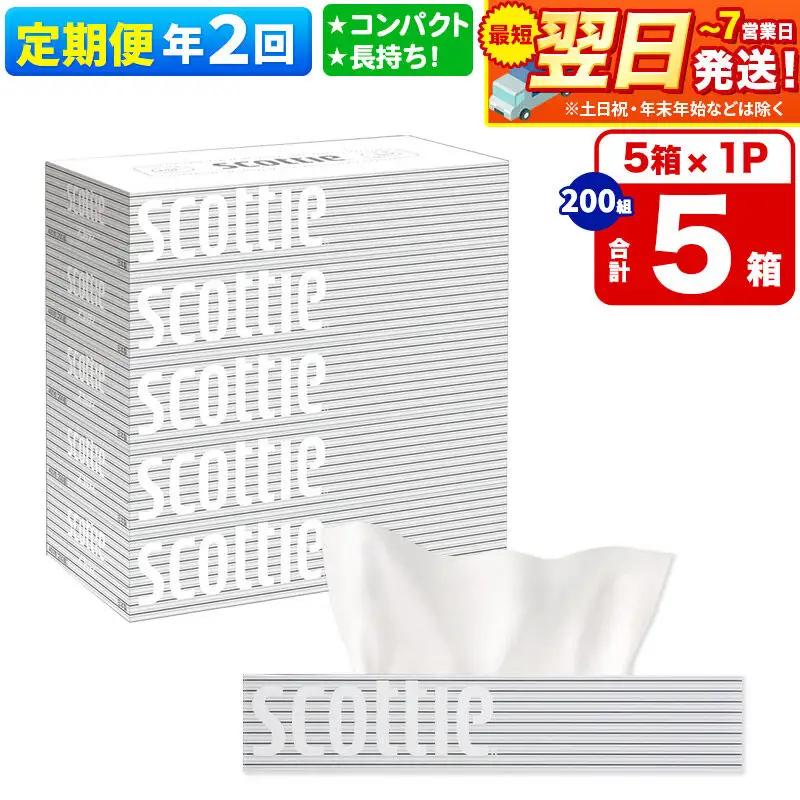 《6ヶ月ごとに2回お届け》定期便 ティッシュペーパー スコッティ ティシュー 5箱×1パック 秋田市オリジナル 最短翌日発送