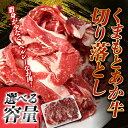 【ふるさと納税】≪容量が選べる≫ 牛肉 切り落とし くまもと あか牛 赤牛 小分け 和牛 お肉 牛肉 切落し 冷凍 送料無料 1kg 500g 九州産 熊本県 球磨村 FKP9-591var