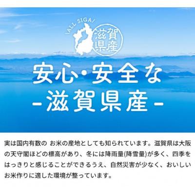 ふるさと納税 愛荘町 【令和7年産含む】 近江ブレンド米 10kg 愛荘町産 白米 |  | 01