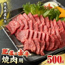 【ふるさと納税】肥後の赤牛 焼肉 500g やきにく 焼き肉 赤身 贅沢 熊本 赤牛 褐牛 あかうし 褐毛和種 肥後 冷凍 国産 牛肉【やまのや】[YDF005]