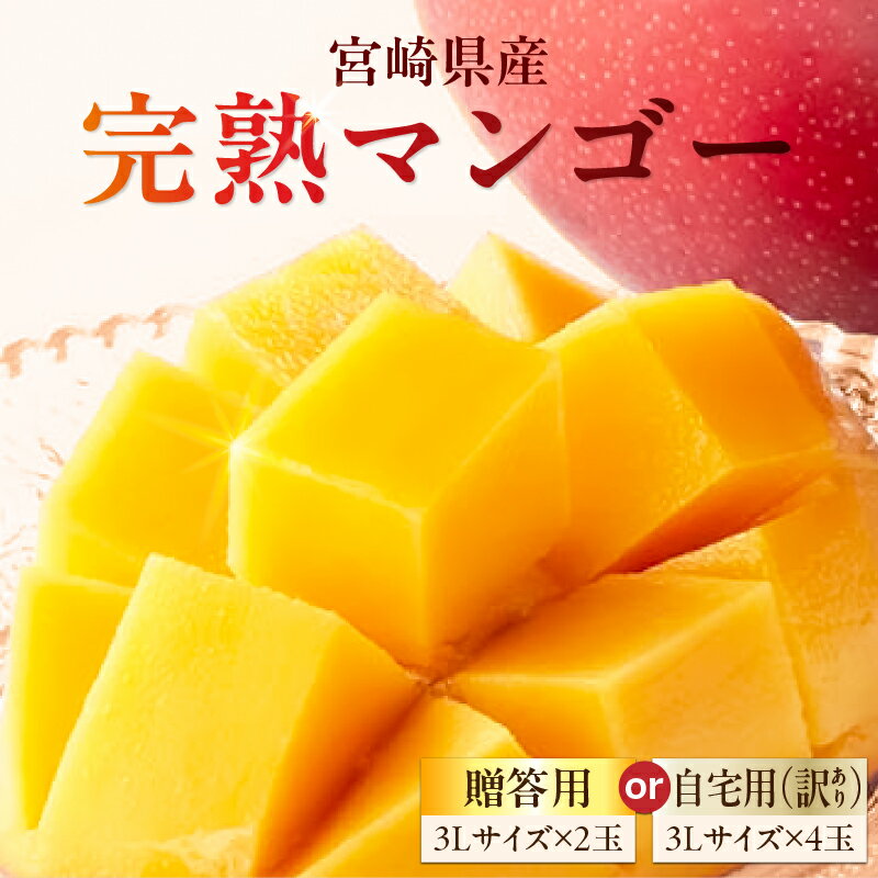 【ふるさと納税】《2026年発送 先行予約》【贈答用or自宅用(訳あり)】【数量・期間限定】La Brilliant Mango マンゴー 完熟マンゴー 贈答用 自宅用 果物 青果 青果物 フルーツ デザート スイーツ 贈答 贈り物 ギフト 化粧箱入り ご家庭用 訳あり 訳あり品 お取り寄せ 宮崎市