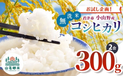新米 【9月上旬から順次発送】 令和7年産 君津市小山野産 コシヒカリ 無洗米 2合 約300g レターパックライト |  あかかげ農園 メディアで紹介 ！ 山名郷米 やまなごう まい 千葉稲作 しんまい シンマイ 少量 こしひかり 千葉県産 むせんまい 米 コメ こめ お米 千葉県 君津市 きみつ