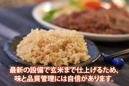 【令和5年産】【玄米10kg×2袋】福井県産 コシヒカリ20kg ～本原農園からまごころコメて～ [B-8941_05]