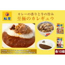 【ふるさと納税】松屋 カレー 牛めし 20個 セット 冷凍 牛丼 カレー　【 詰め合わせ 食品 冷凍食品 惣菜 t1 】