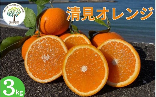 【期間限定・2025/4/31まで】葉付き清見オレンジ 3kg L～4L（サイズ混合）※2026年4月上中旬から順次発送予定※ / オレンジ きよみオレンジ きよみ 柑橘 フルーツ 果物 和歌山県 田辺市 【tmk001】