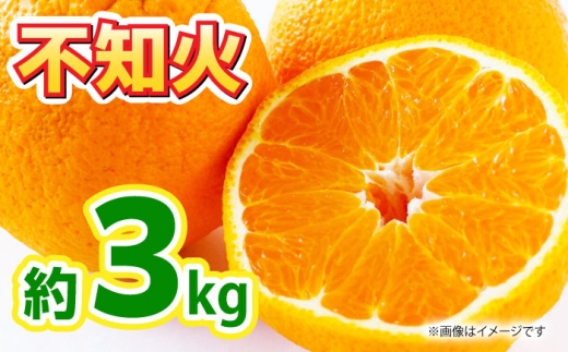 【先行予約】不知火 約3kg 【くまふる】  1万円以下 10000円以下 [ZBG080]