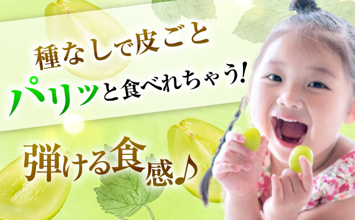 くだもの シャインマスカット ますかっと ぶどう 果物 くだもの 種なし 皮ごと