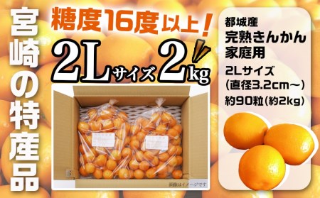 【2月～3月お届け】都城産完熟きんかん 家庭用2kg (2Lサイズ)_13-B501_(都城市) 都城産 完熟きんかん きんかん 2Lサイズ 約2kg 柑橘類 2月～3月お届け 家庭用