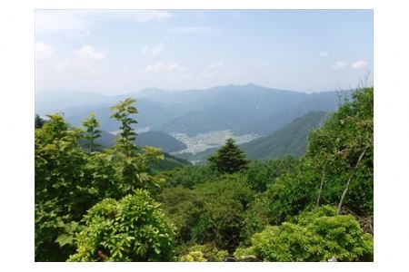 匂辛夷フローラルウオーター セット 100ml+500ml 〈丹波市産〉 化粧水 アロマ