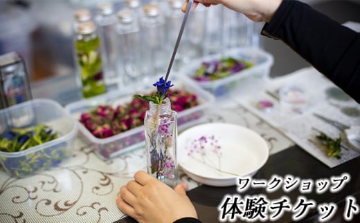 ワークショップ体験チケット（10月～2月使用可能） ／ りんどう ドライフラワー ハンドメイド インテリア インテリア雑貨 ハーバリウム キャンドル クラフト 可愛い かわいい リラックス プレゼント おしゃれ 誕生日 贈り物 記念日 体験 チケット ワークショップ おすすめ オススメ 【花っ娘】