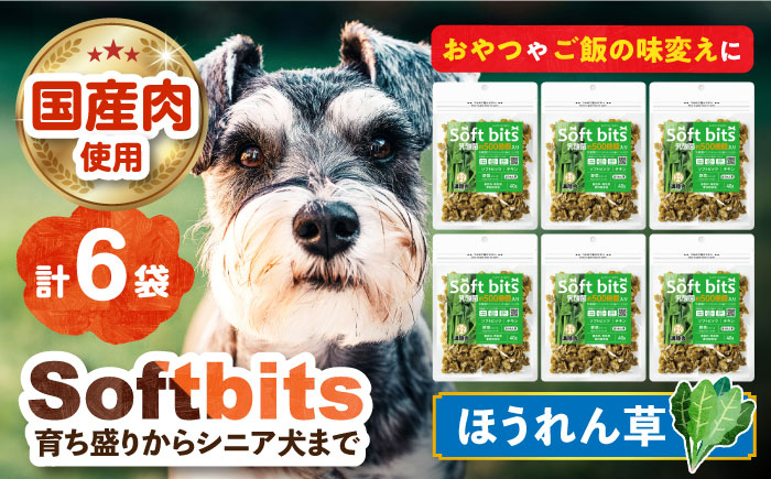 
Softbits （野菜）ほうれん草（40g×6P）長崎県/株式会社サポート [42AEAE014]
