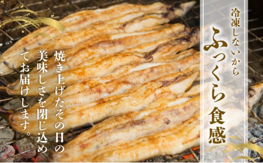 ＜順次配送／定期便2回＞ うなぎ白焼き 計800g (200g×2尾×2回) 冷蔵 21ys-0004