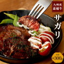 【ふるさと納税】嘉穂牛 サガリ 合計約300g 牛肉 福岡県産 九州産 国産 冷蔵 送料無料