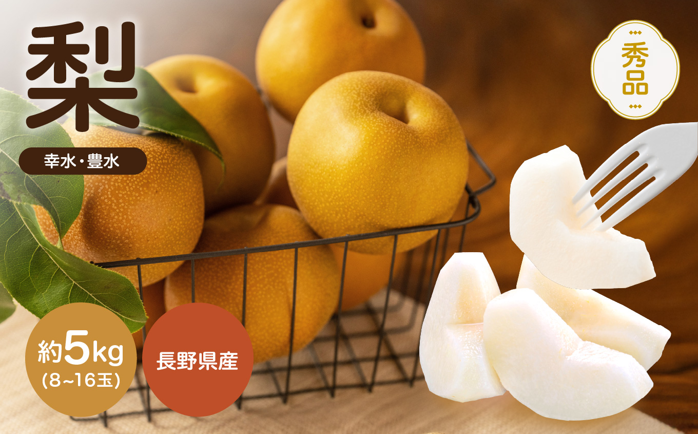 南信州産 幸水 または 豊水 秀品 約5kg 8～16玉 <2026年9月上旬～順次発送> ＪＡみなみ信州ＤＭセンター飯田市