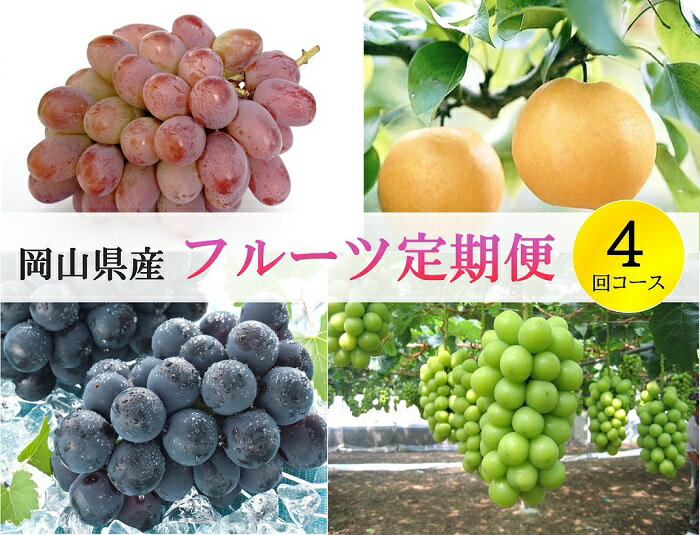 【ふるさと納税】岡山県産 果物 スイーツ フルーツ 定期便 4回 葡萄 ぶどう ブドウ 梨 なし ニューピオーネ シャインマスカット 晴王 紫苑 あたご梨 愛宕梨 デザート 旬 岡山県産 フルーツ定期便 4回コース【2026年産】