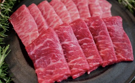 佐賀牛 希少部位 焼肉セット 佐賀牛【450g】
