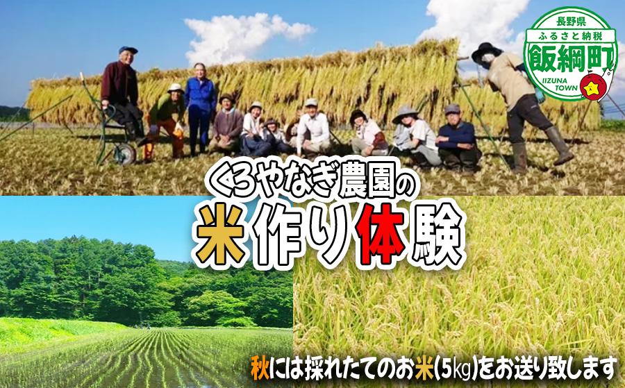 
            【 米作り体験 】 米作り体験（1名様からご家族まで） 《 種まき、田植え、草刈、稲刈り、はぜかけ 》 くろやなぎ農園  17500円 長野県 飯綱町  [1985]
          
