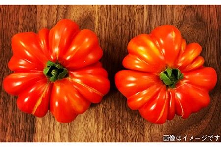 【 全3回 定期便 】朝採り オーガニック 旬 野菜 お任せ 5品 ＋ 糸島産 大ヒット 特産 加工品 2品 のセット《糸島》【オーガニックナガミツファーム】	[AGE029]