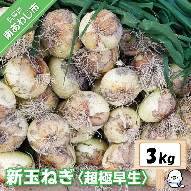 【ふるさと納税】新玉ねぎ淡路島　南あわじ市3kg　超極早生【配送2月下旬〜3月下旬】