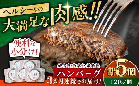 【全3回定期便】【蝦夷鹿×牧草牛×放牧豚】ハンバーグ 5個 【GOODGOOD株式会社】 ハンバーグ 鹿肉 牛肉 豚肉 小分け 冷凍配送 北海道 [AXBP019]